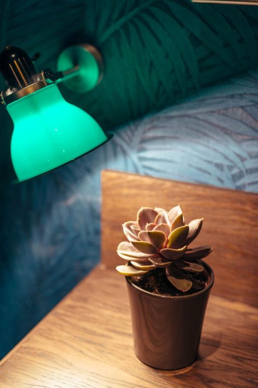 Фото Villa Bougainville by Happyculture