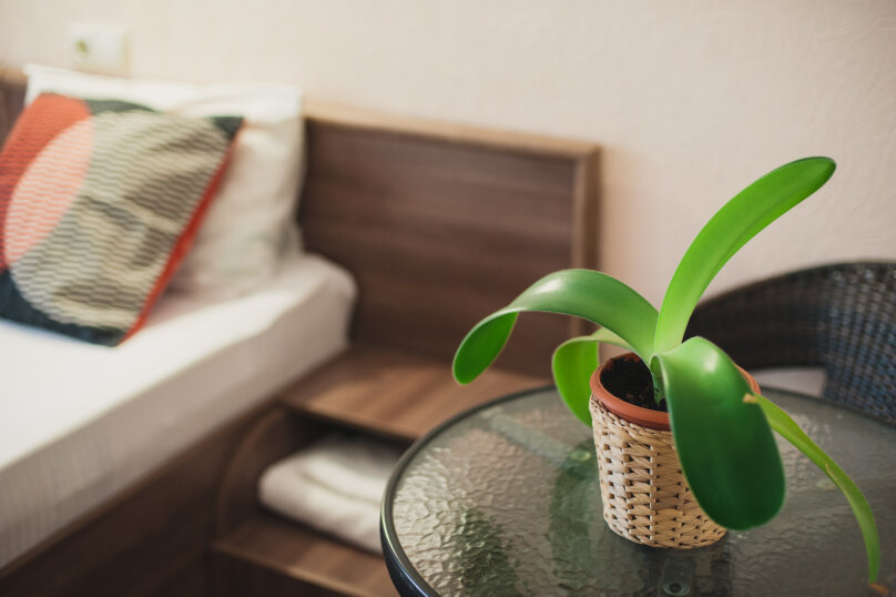 Фото Кëльнер Дом