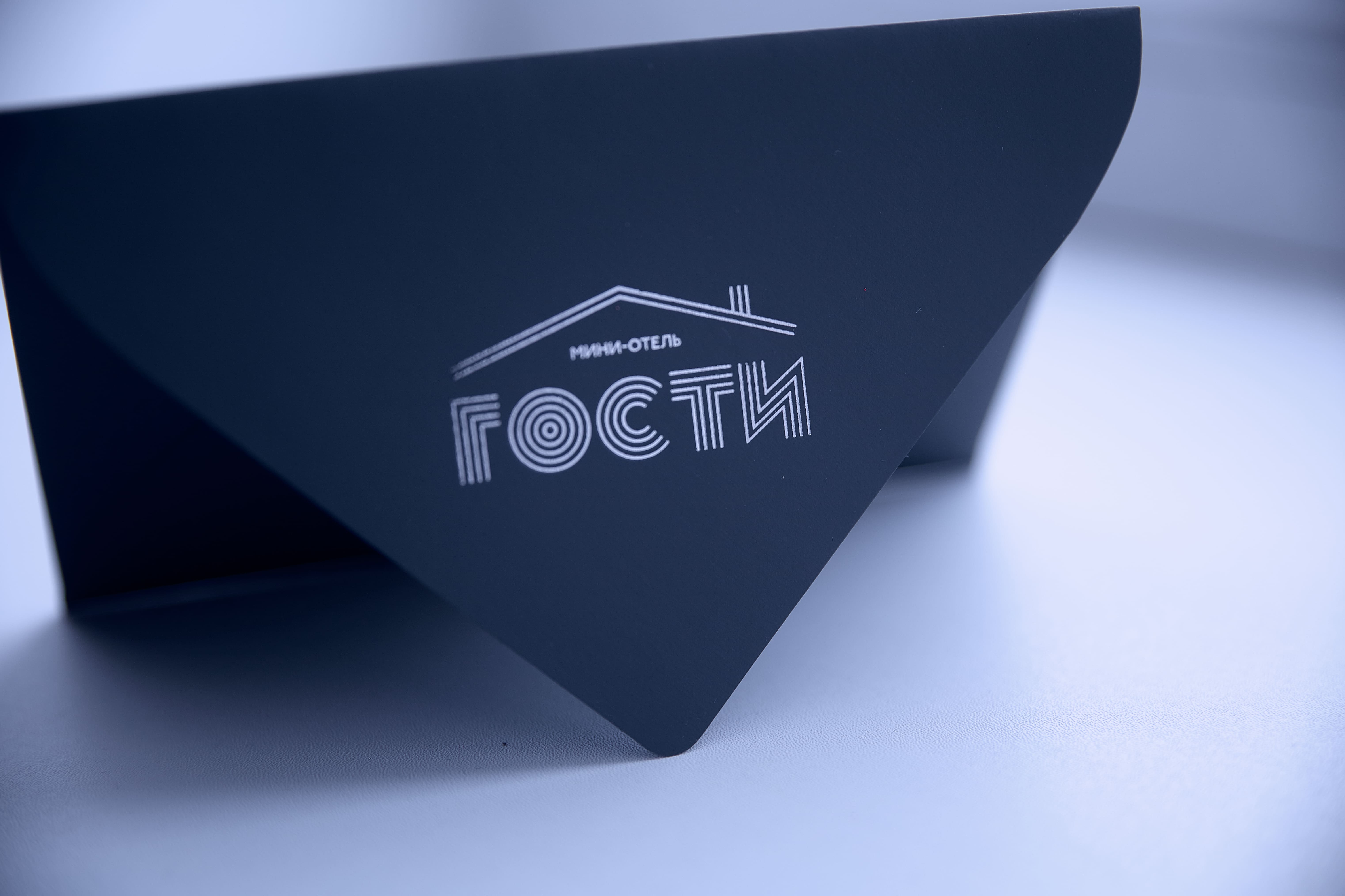 Фото Мини-отель Гости