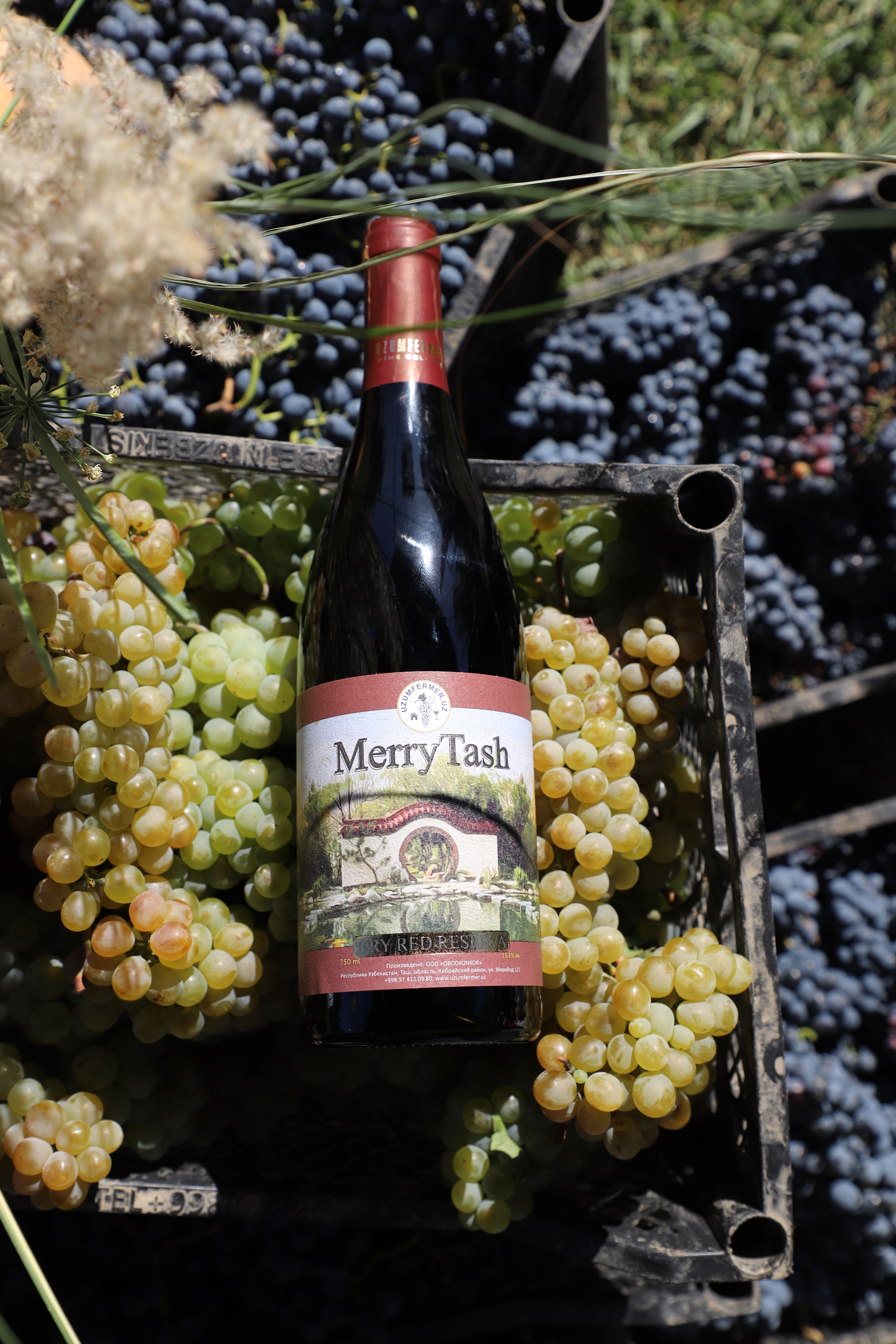 Фото Uzumfermer. uz