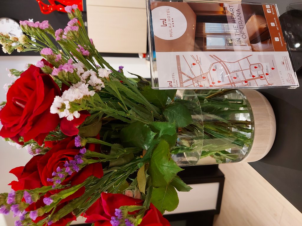 Фото Mulaj Hotel