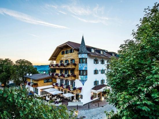 Фото Enzian Genziana