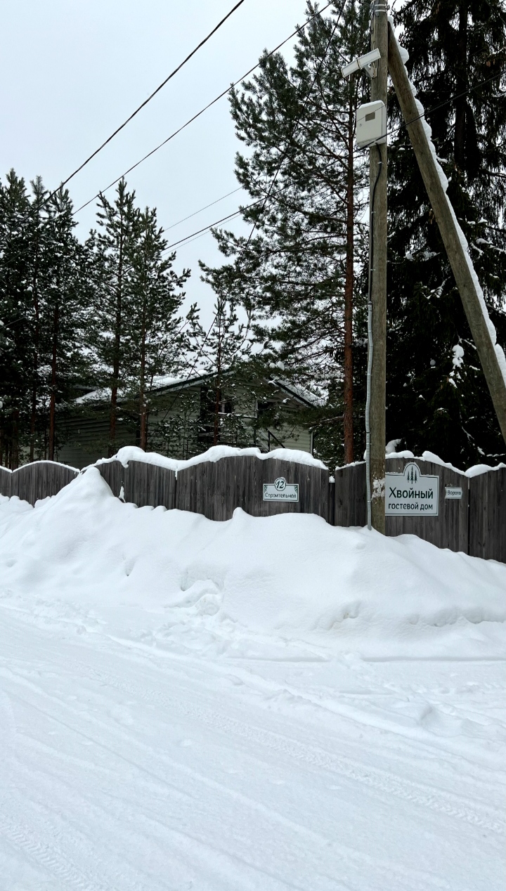 Фото Хвойный