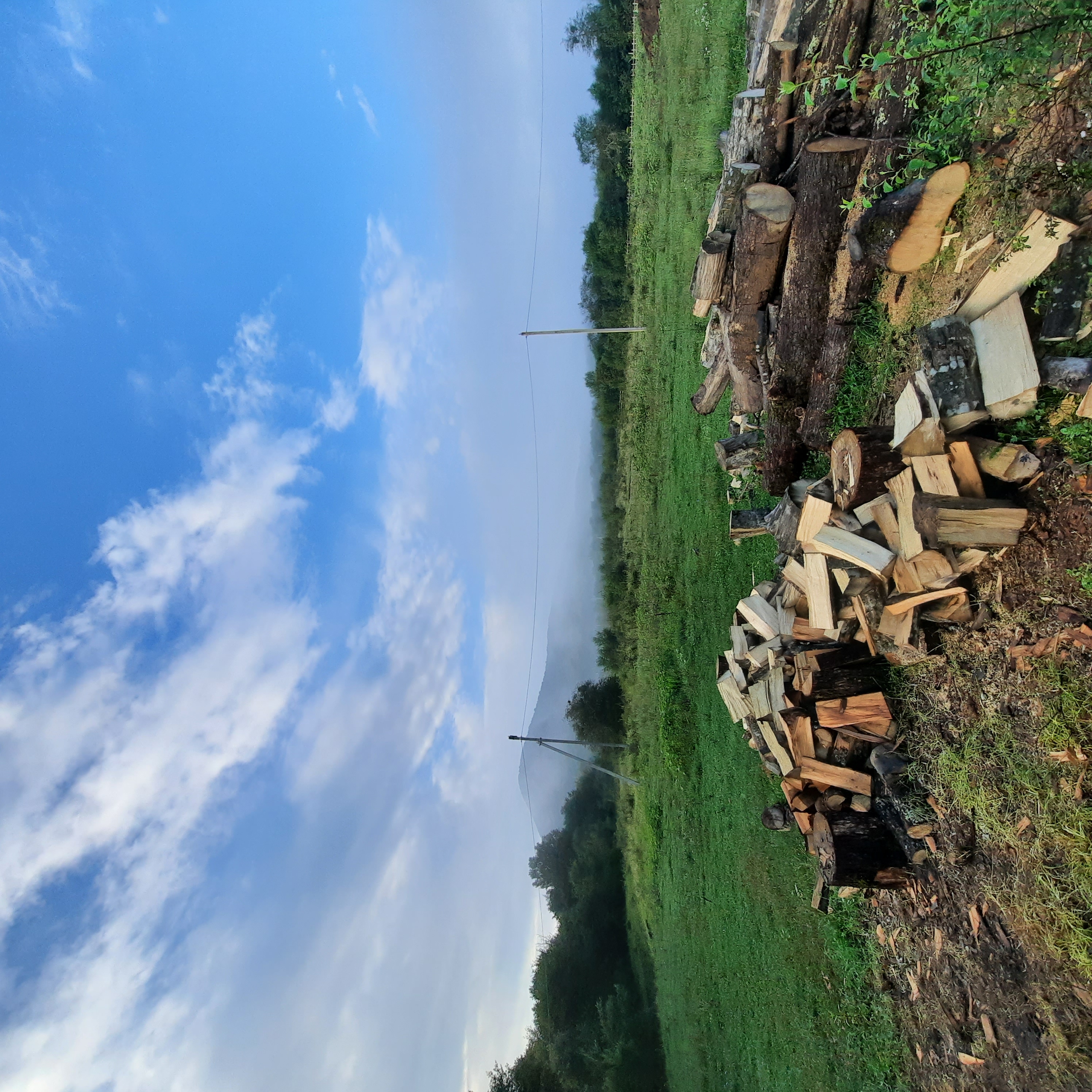 Фото Ореховая роща в Даховской