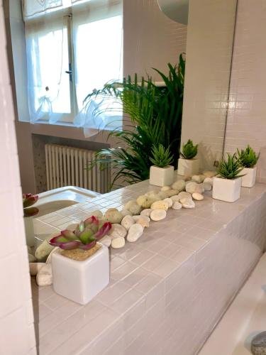 Фото Al Fluviale