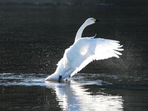 Фото Ab Hotel Fukaya