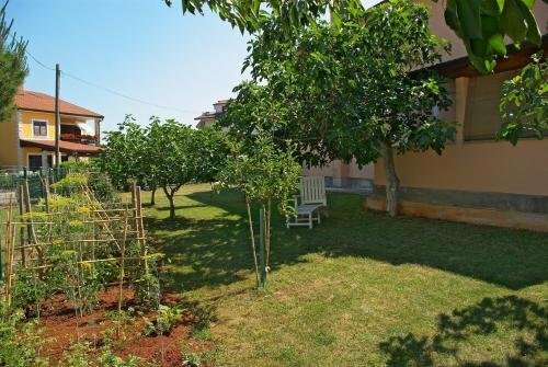 Гостиница Apartments & Rooms Barbara