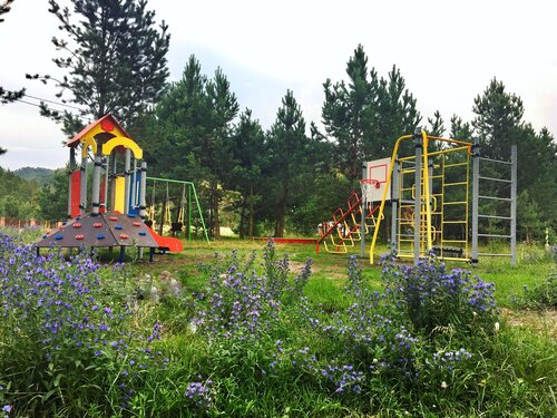 Дом отдыха База отдыха Чыгыш в Усть-Семе