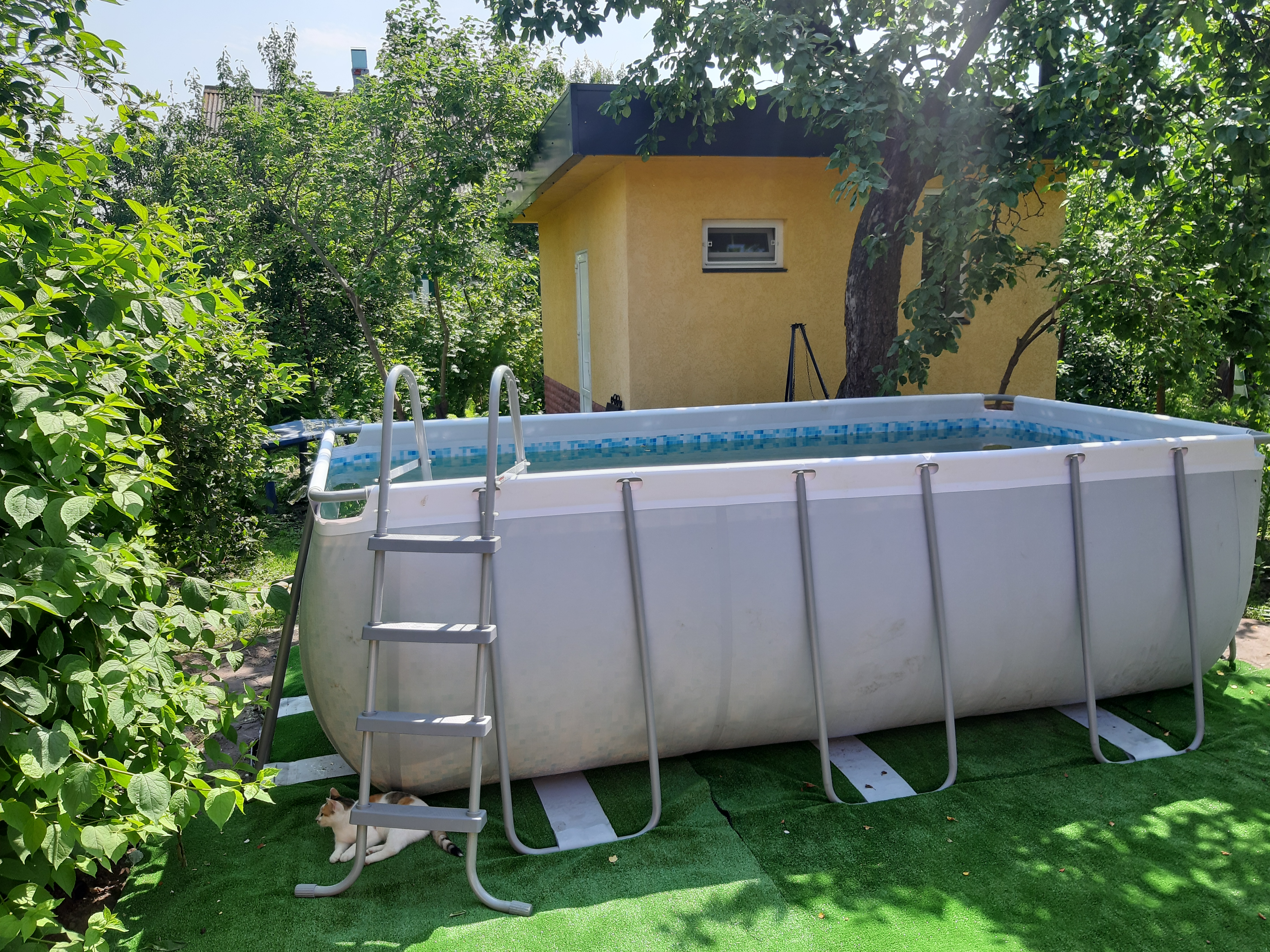 Фото Свояки