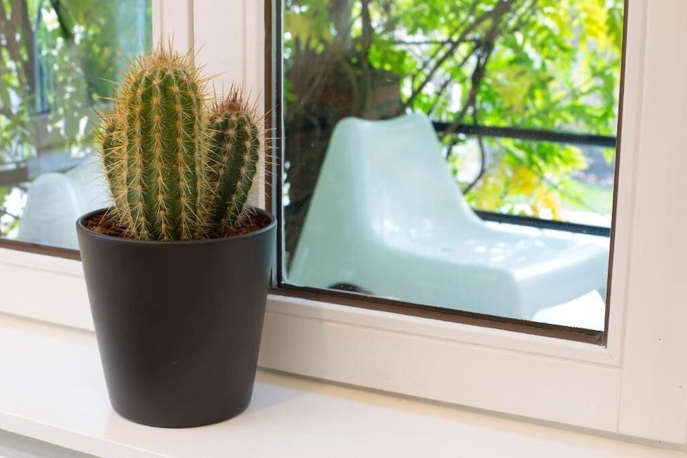 Фото A l'ombre de la Croisette