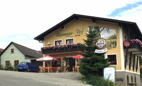 Гостиница Brauneggerhof Gasthof Mayer в Нижней Австрии