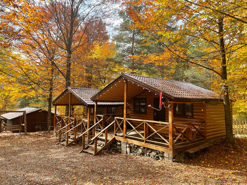 Турбаза A-Frame Arkhyz в Архызе