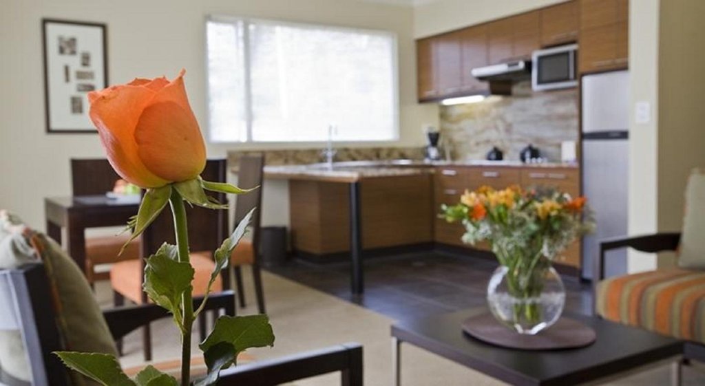 Фото Hotel Stubel Suites and Cafe