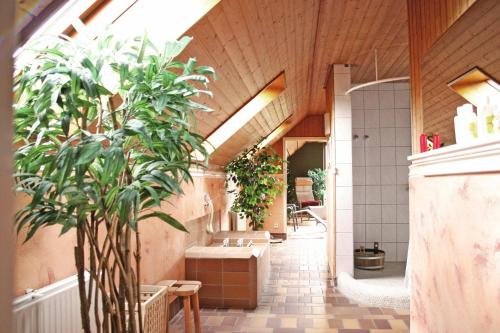 Фото Hotel Restaurant Falken