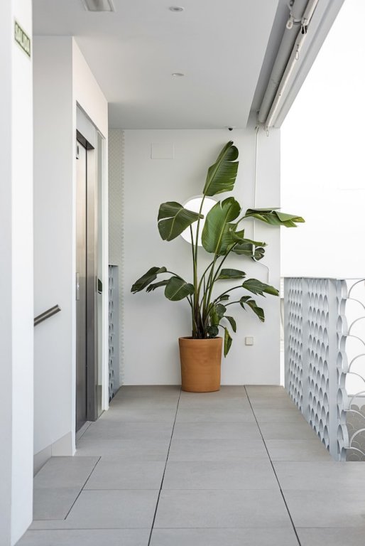 Фото Hotel Apartamentos Conilsol