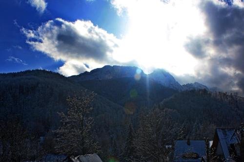 Фото Willa Halka