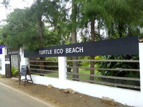 Гостиница Turtle Eco Beach Resort