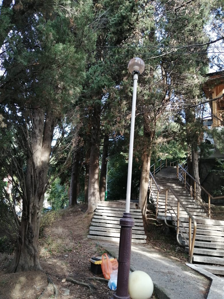 Фото Санлайт