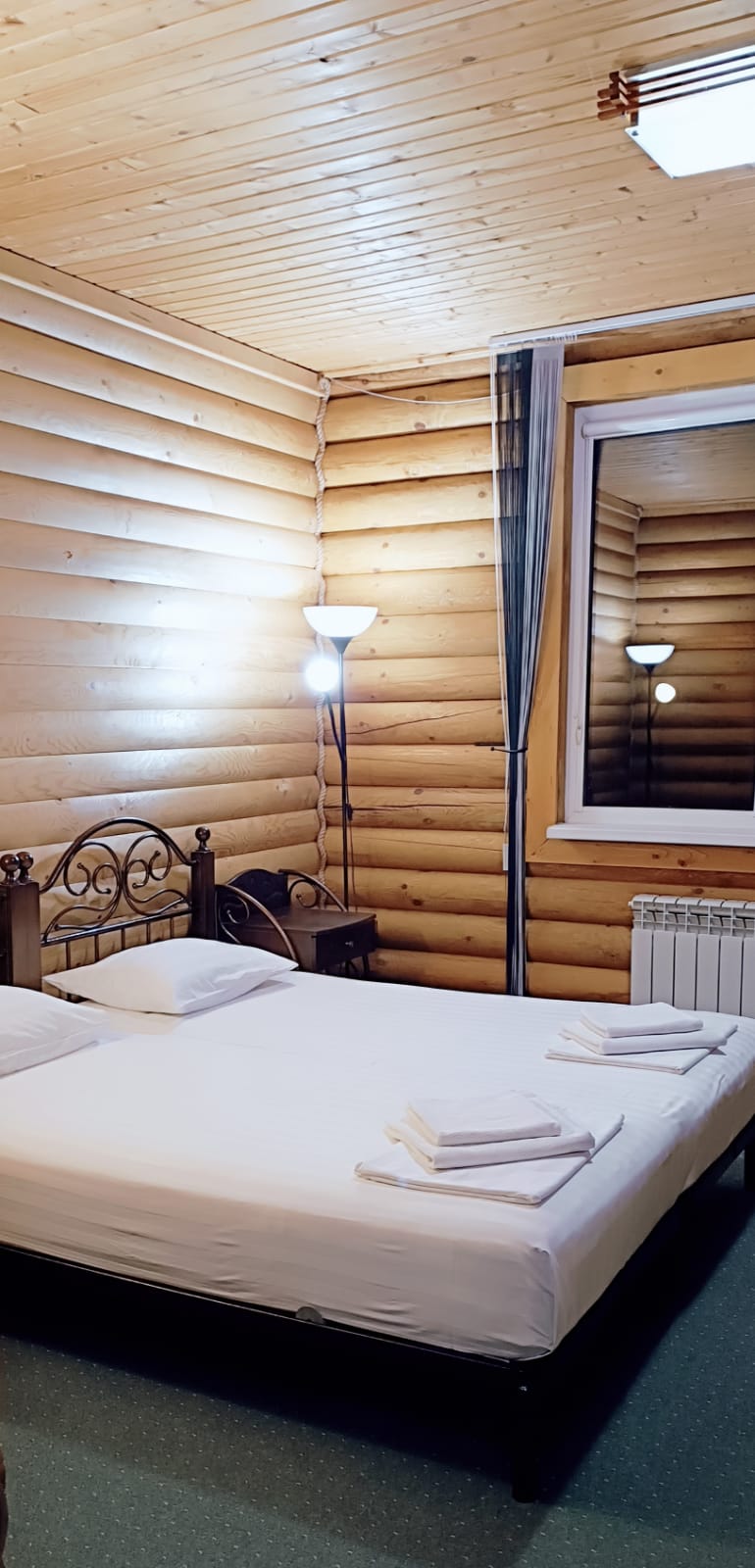 Фото Вербена