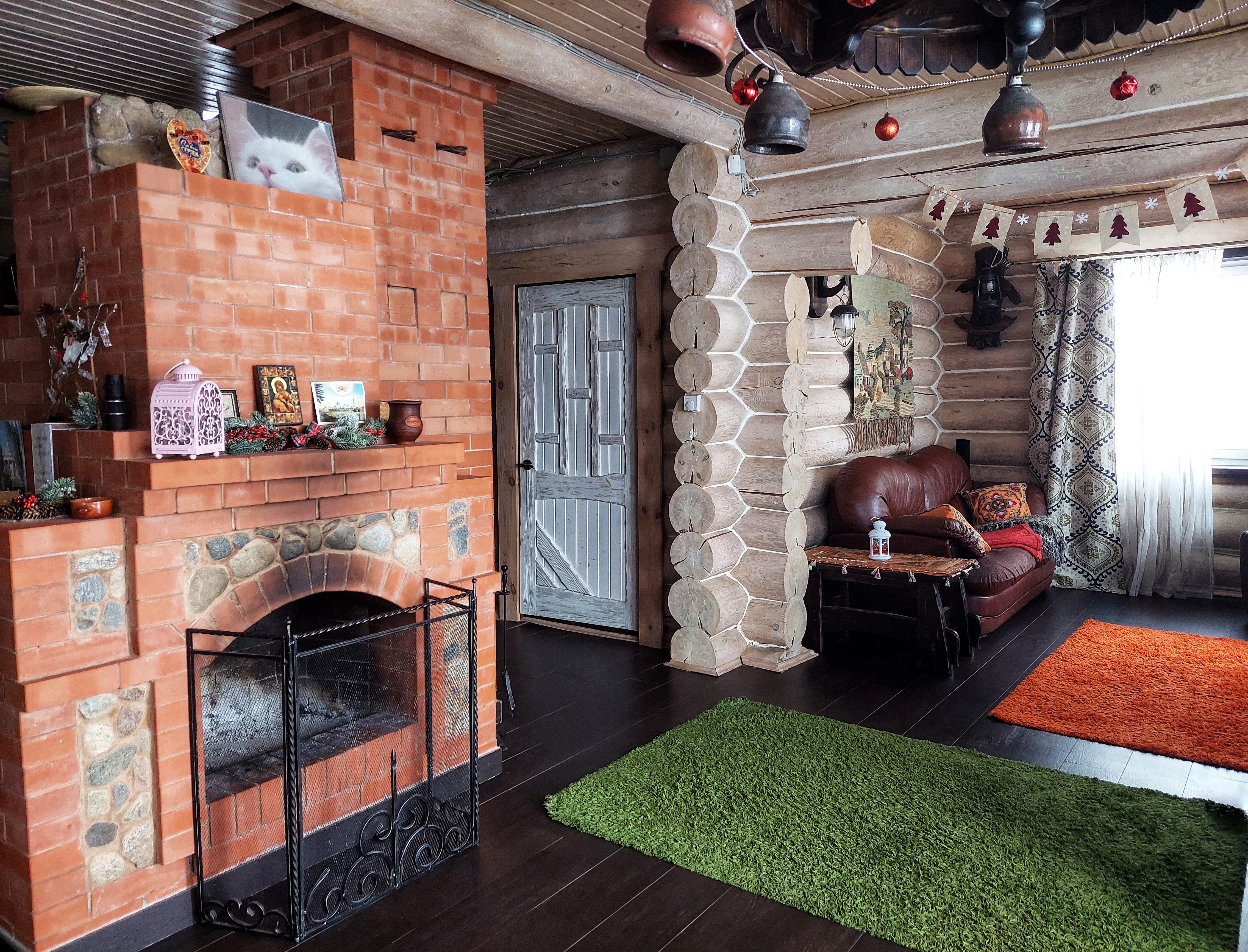 Фото Сорока