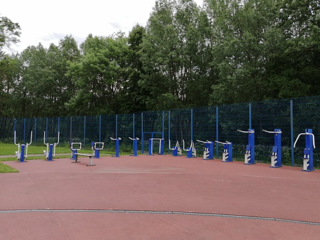 Арена, спортивный комплекс, остров Дятлинка, д.1, Великие Луки - SportGyms.ru