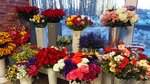 Цветы (Karelskaya Street, 16), flower shop