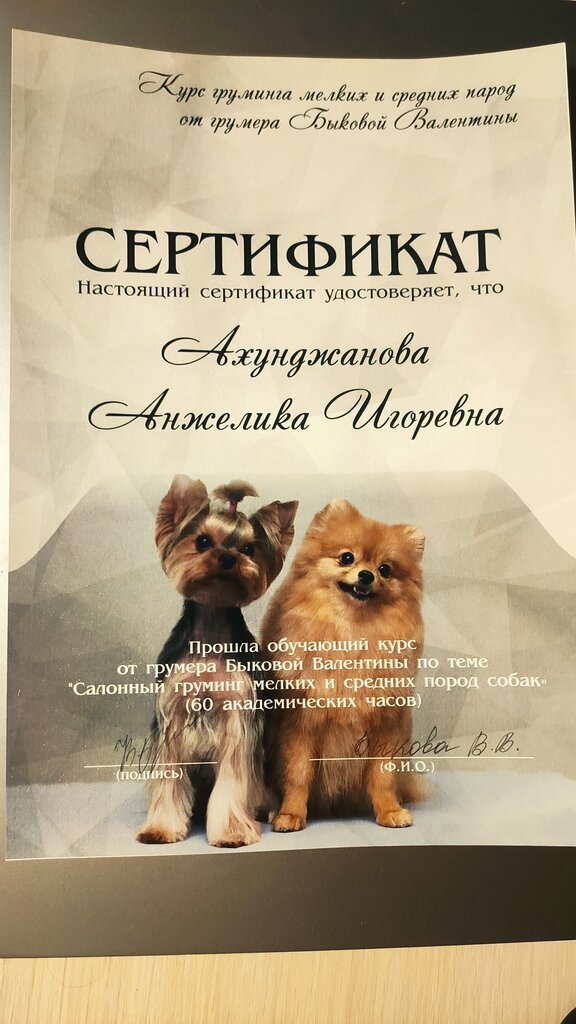 صالون حيوانات أليفة Ухоженный хвостик ، ، صورة
