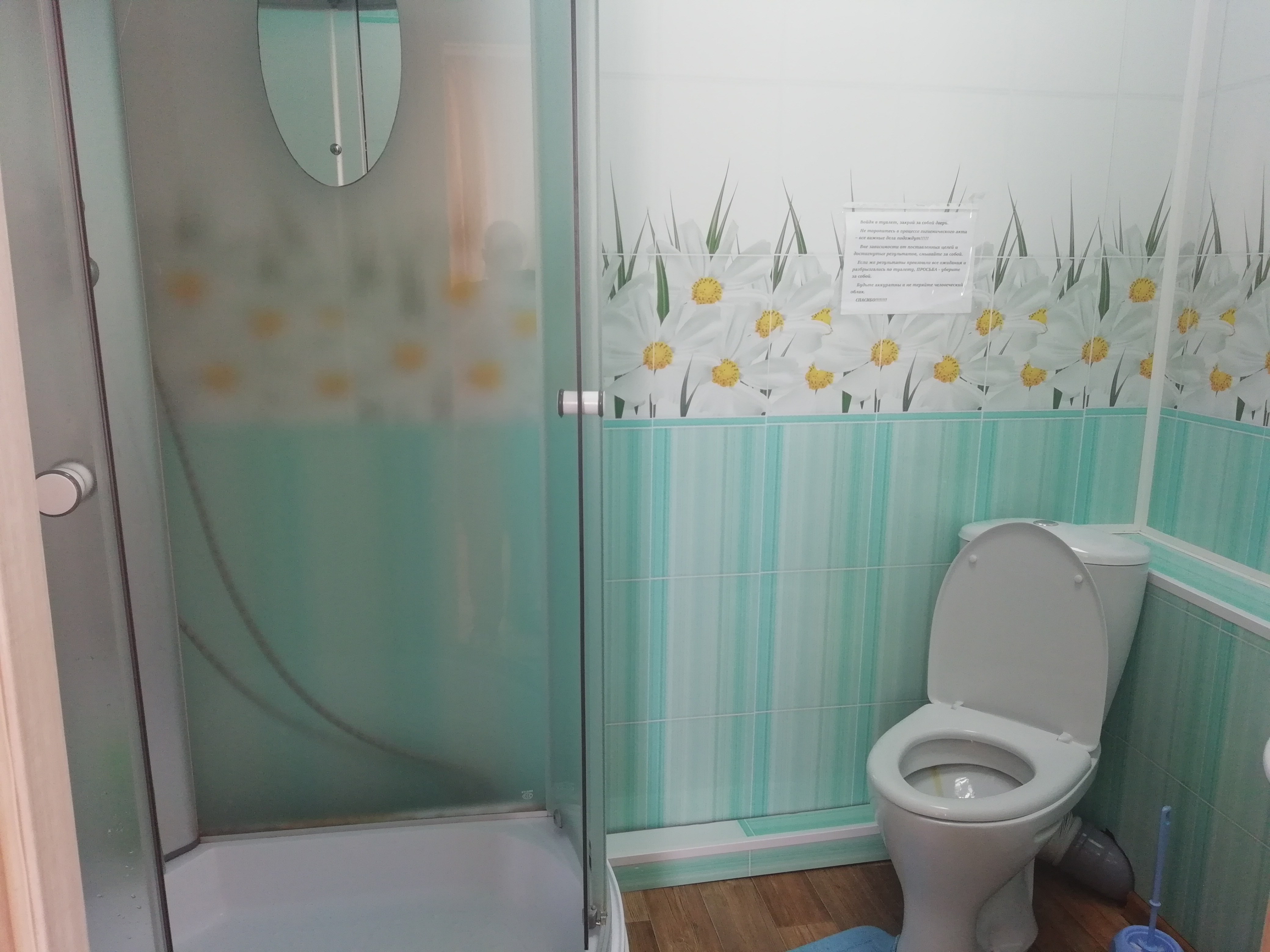 Фото Ромашка