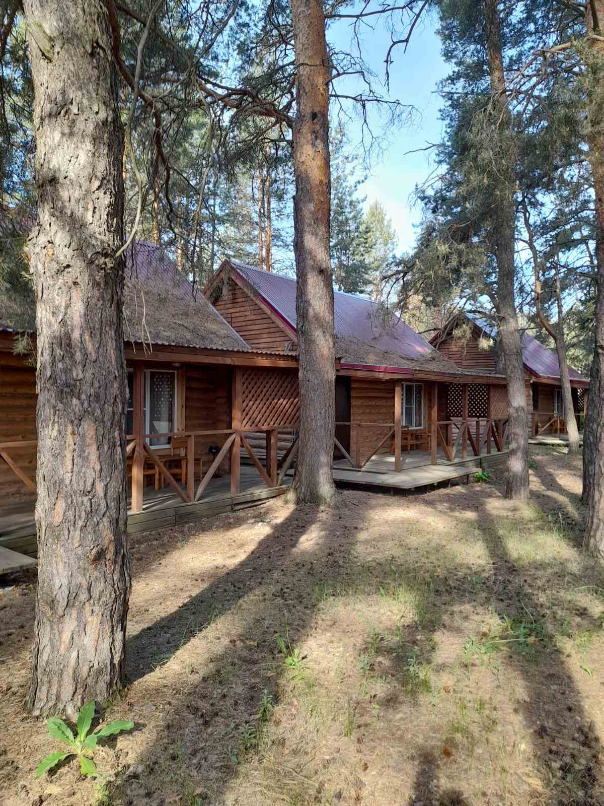 Фото Старый дворик