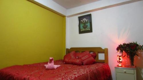 Фото Vacahouse 2 Eco-Hostel