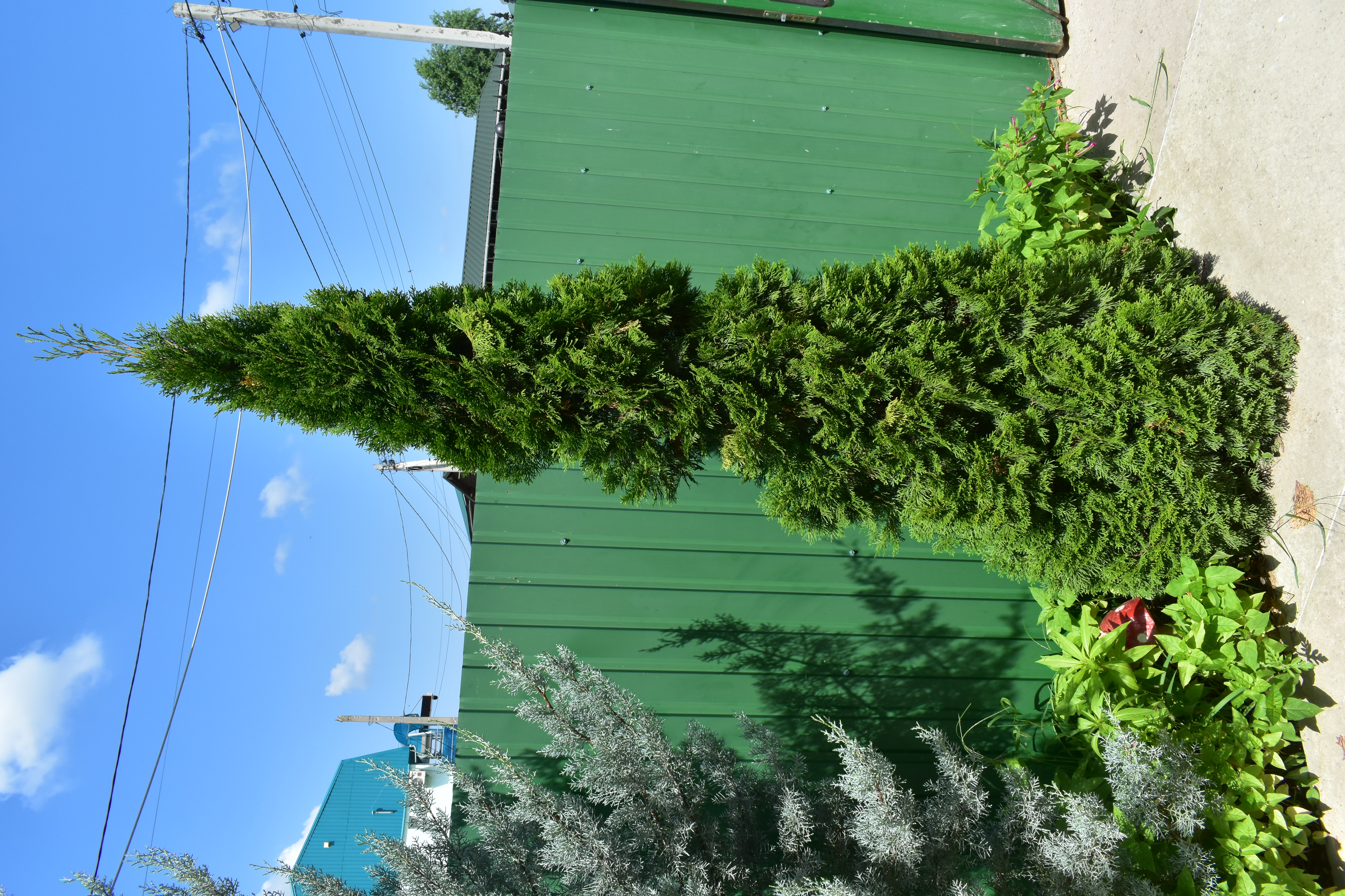 Фото Гринвич