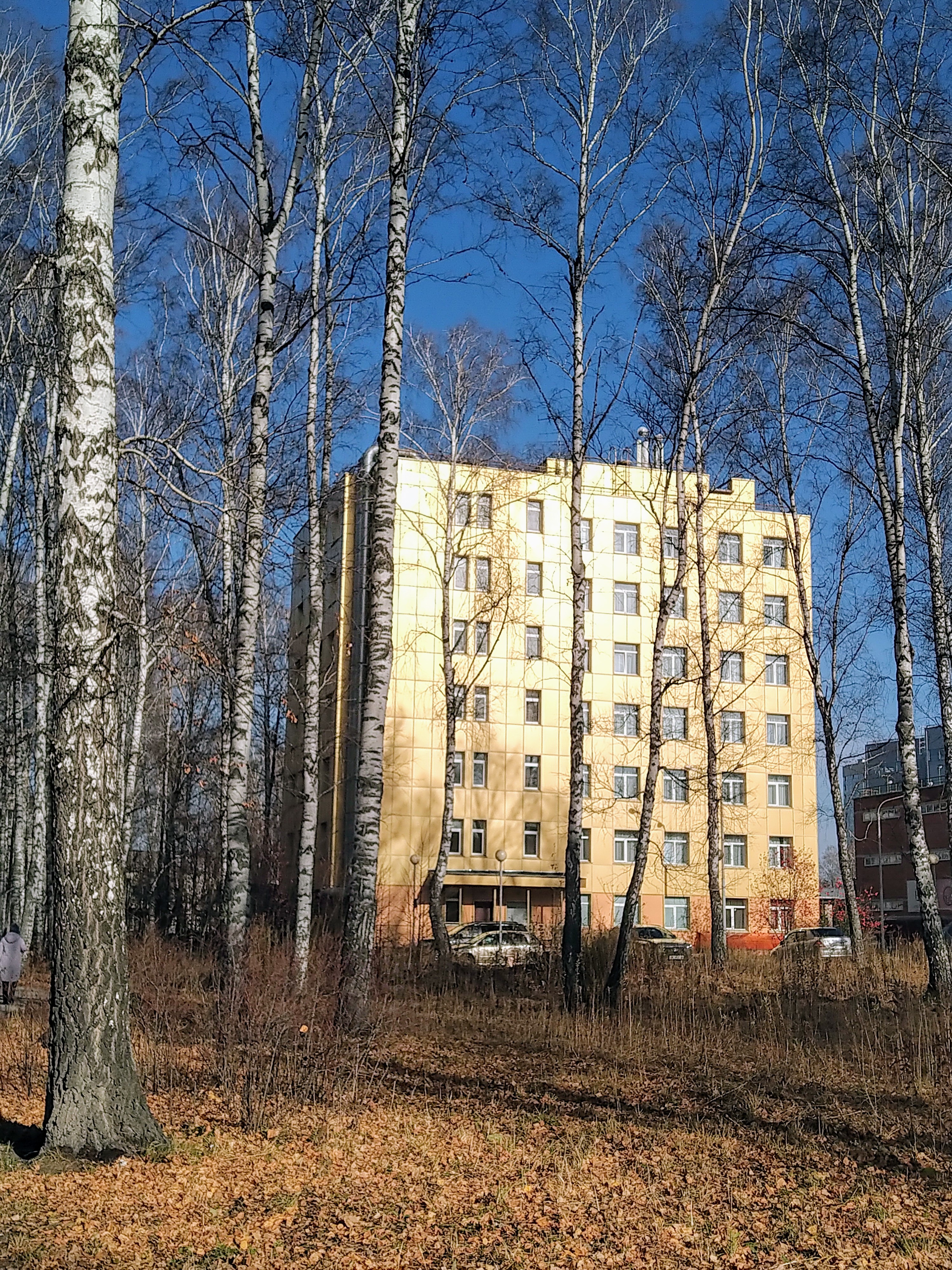 Фото Park Wood Hotel