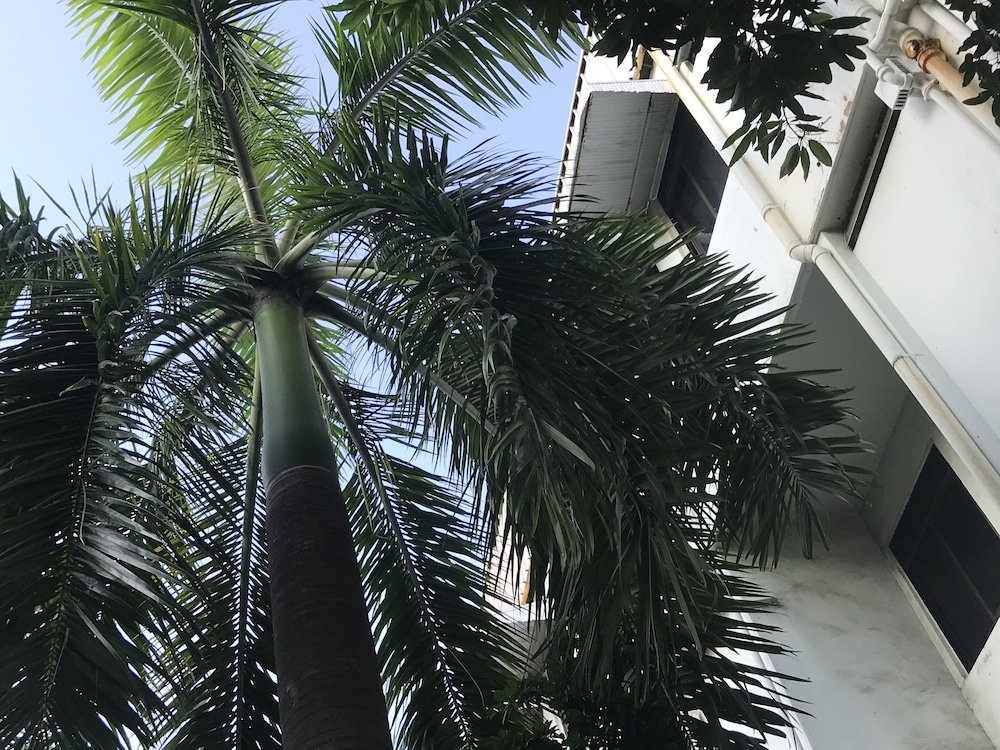 Фото Lai Ming Hotel Cosmoland