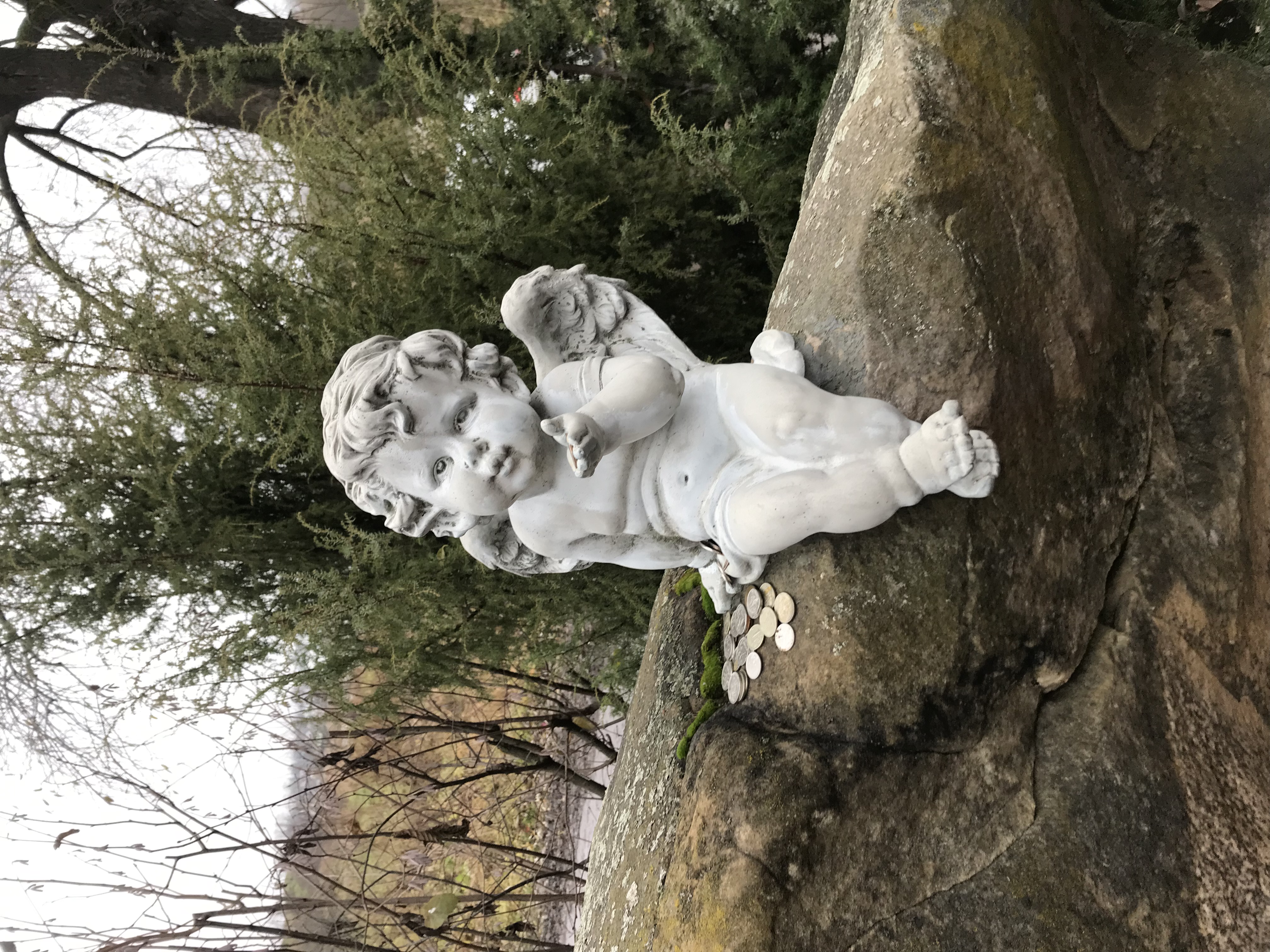 Фото Река времен