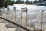 Fazenda (Krasnozatonskiy Urban Settlement, Krasnozatonskaya Street, 62), greenhouse equipment