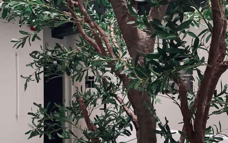 Фото Kinn Capsule