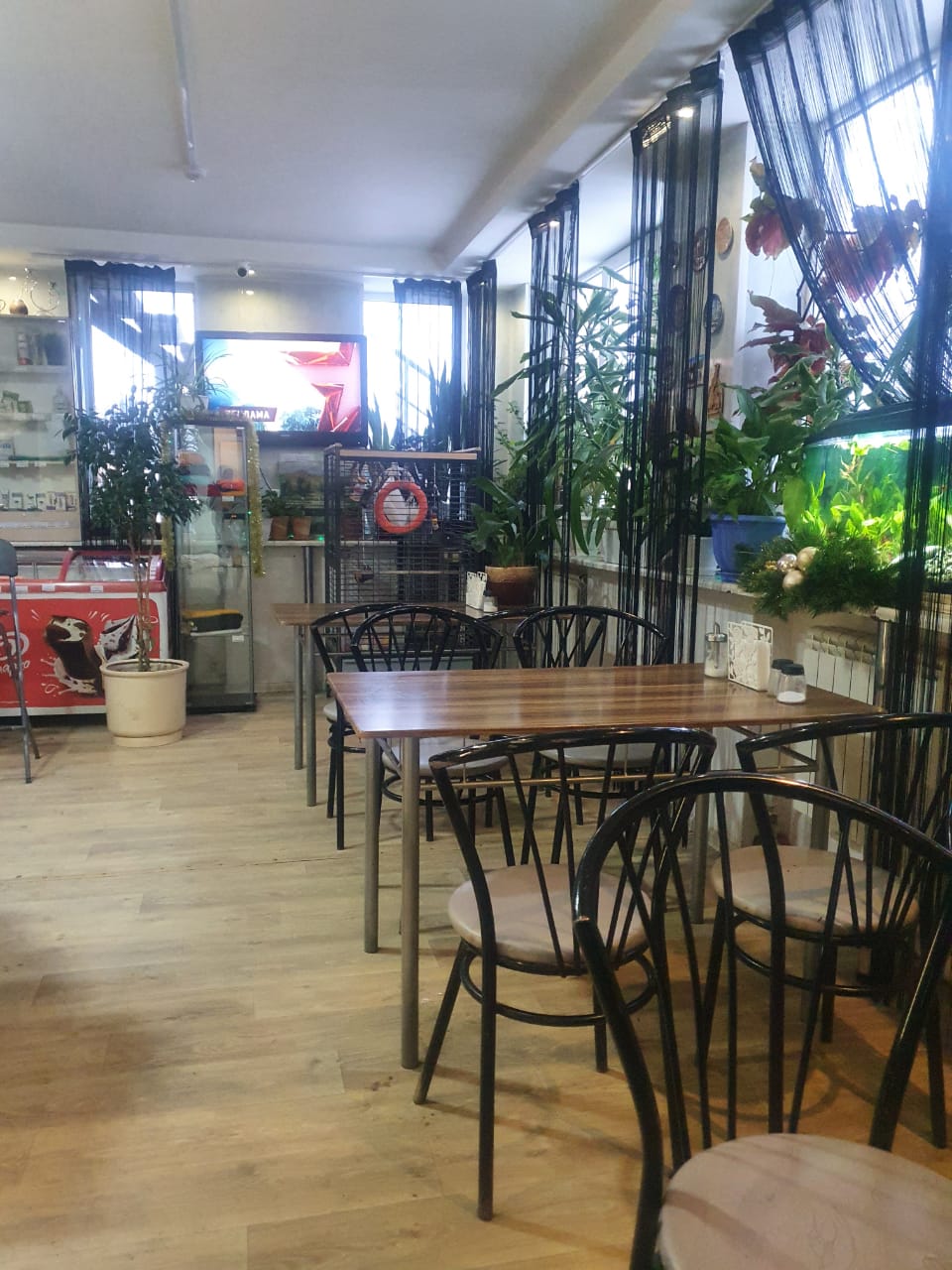 Фото Белый Орёл