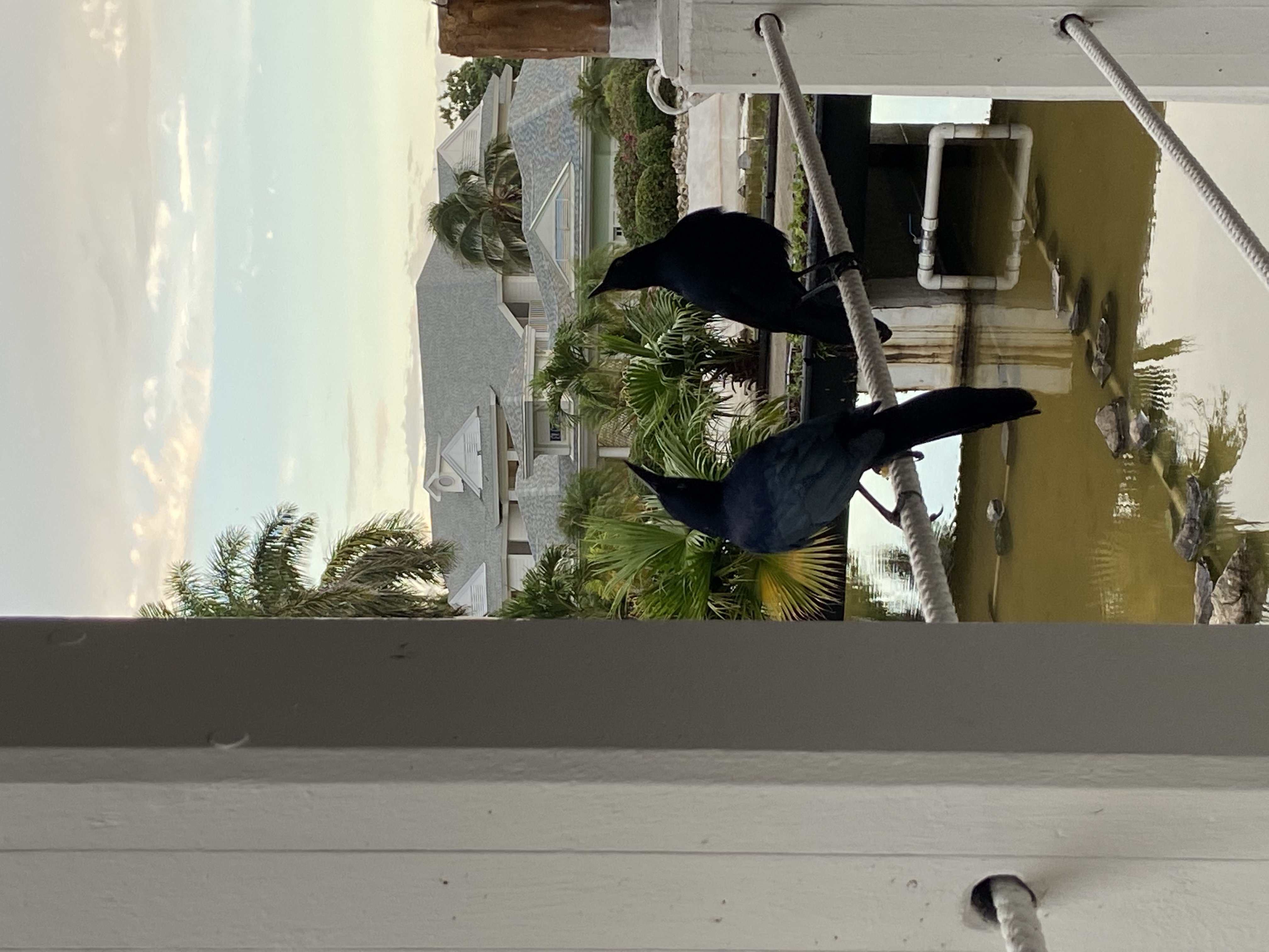 Фото Melia Peninsula Varadero