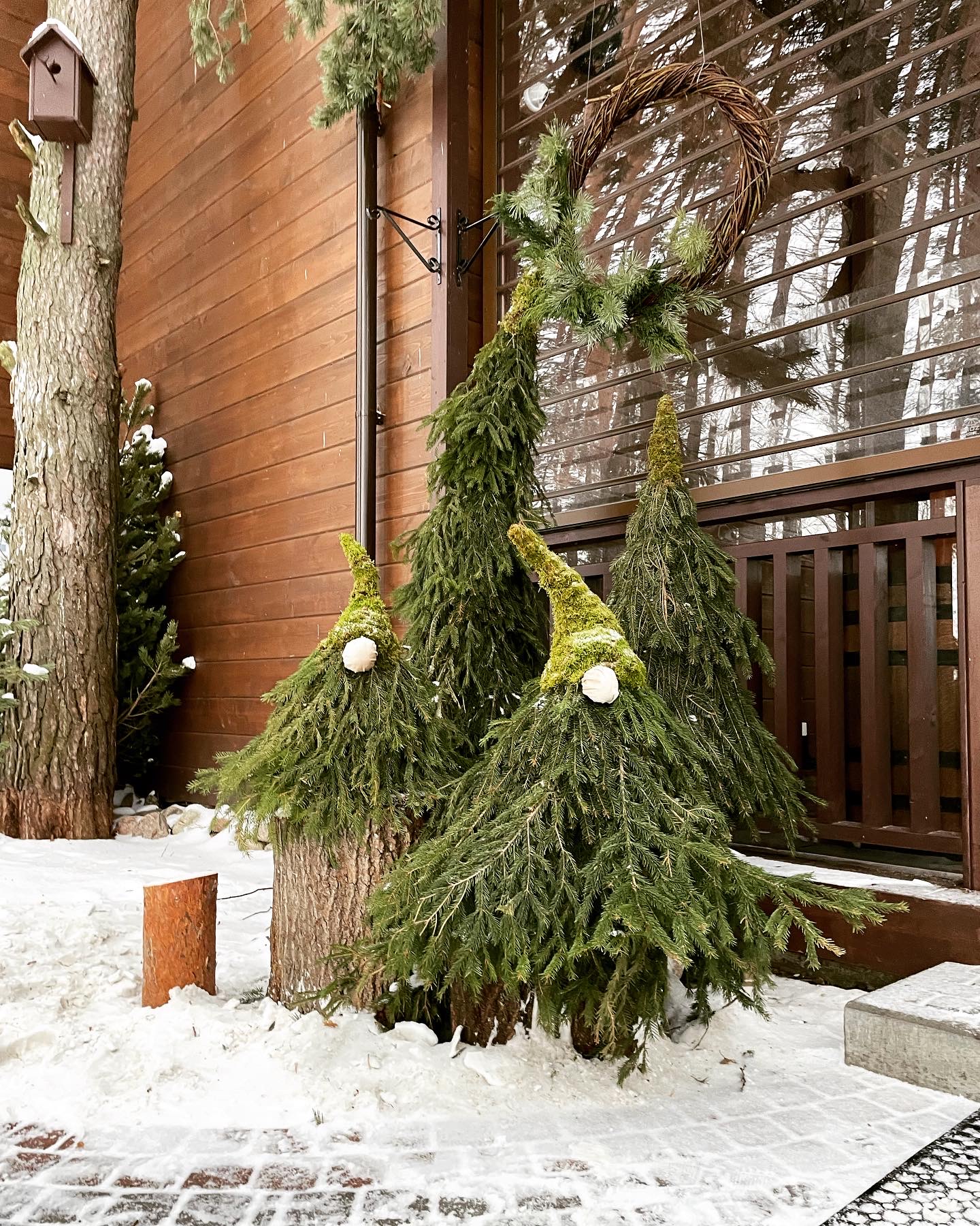 Фото Жемчужина