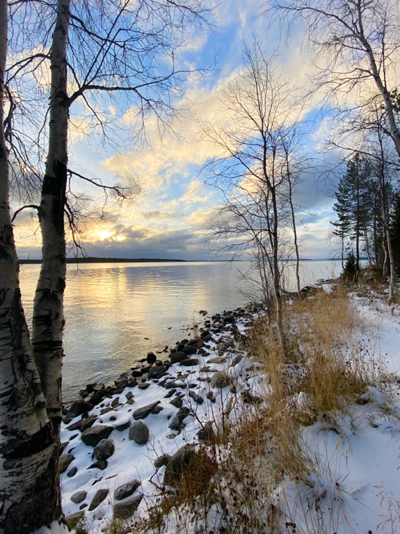 Фото Лесная