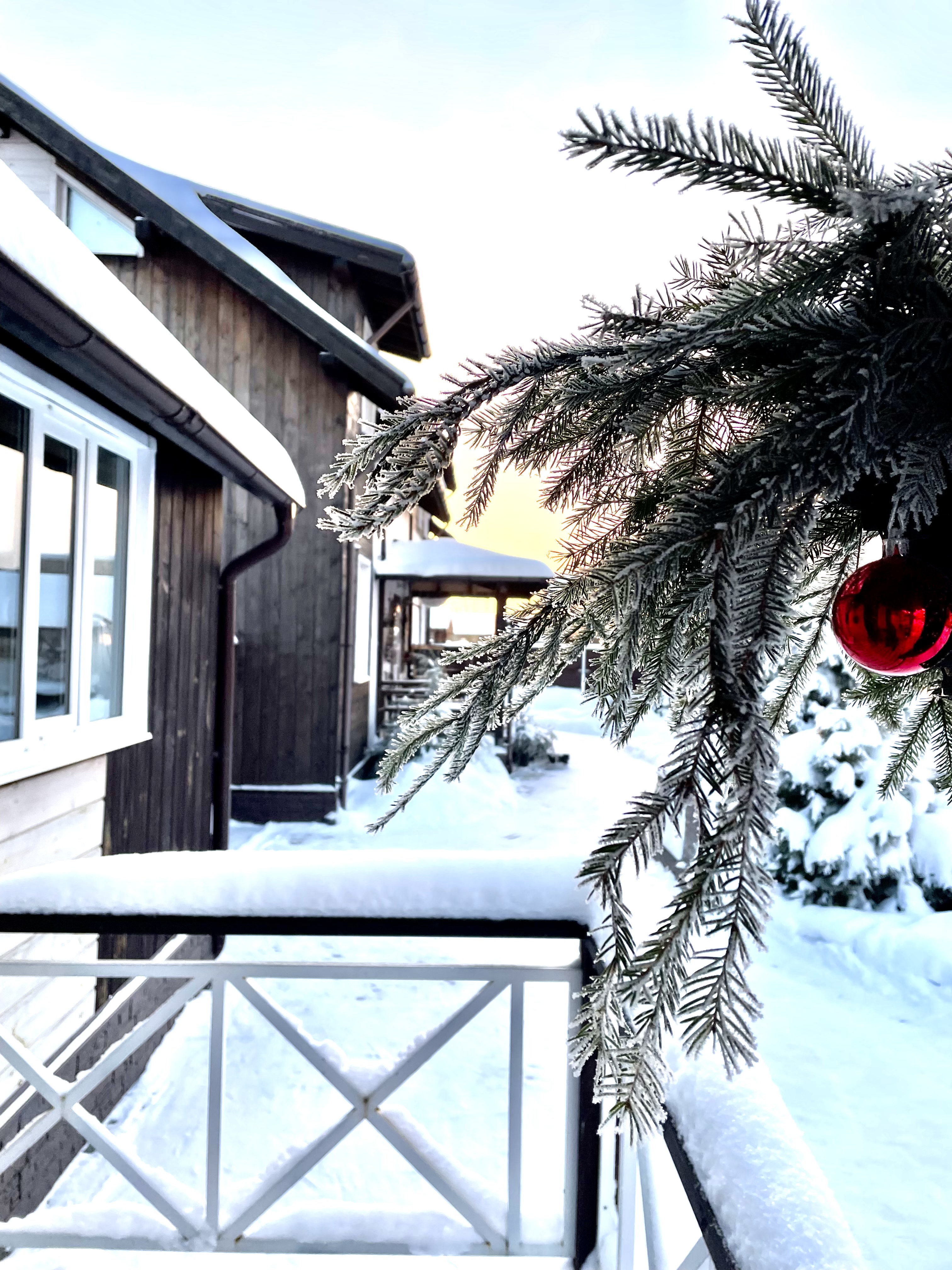 Фото Берлога