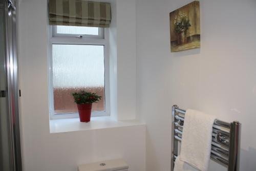 Фото Oxford Guest House