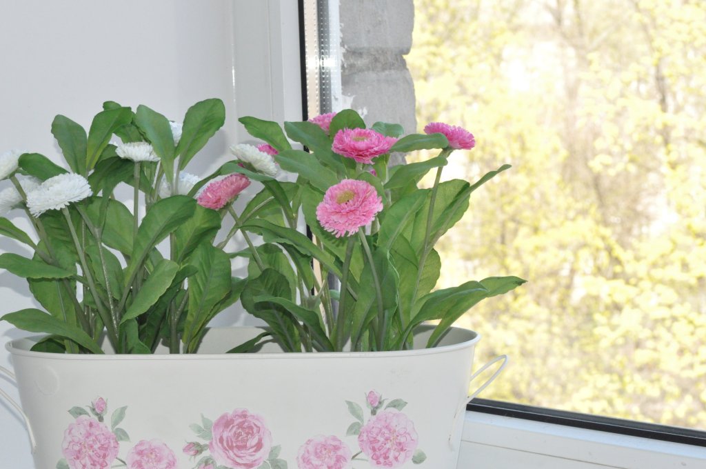 Фото Априори