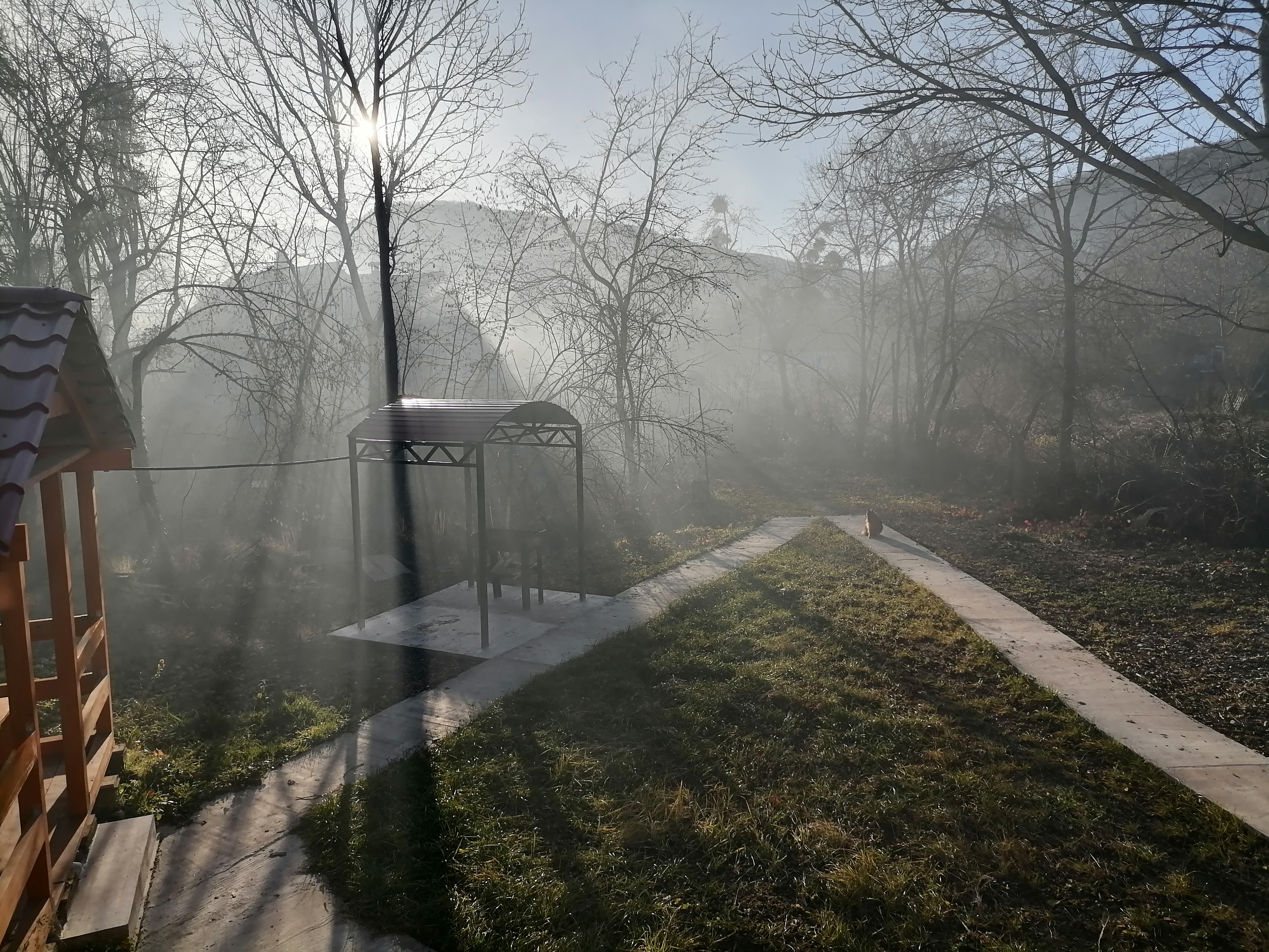 Фото Хижина