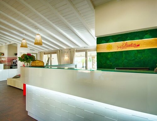 Гостиница Eliantos Hotel