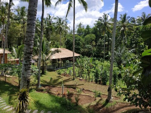 Гостиница Bali Sesandan Garden