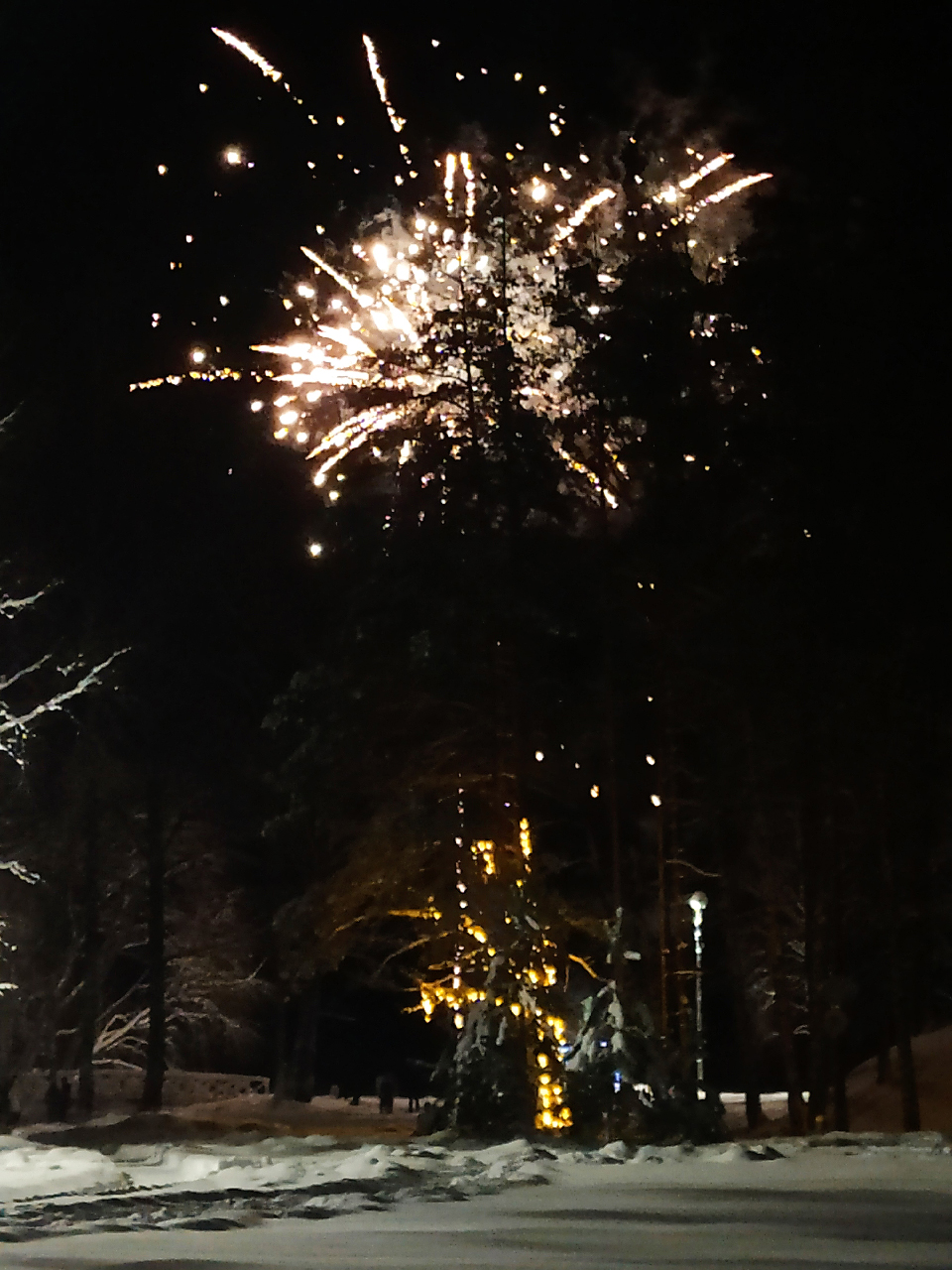 Фото Красный бережок