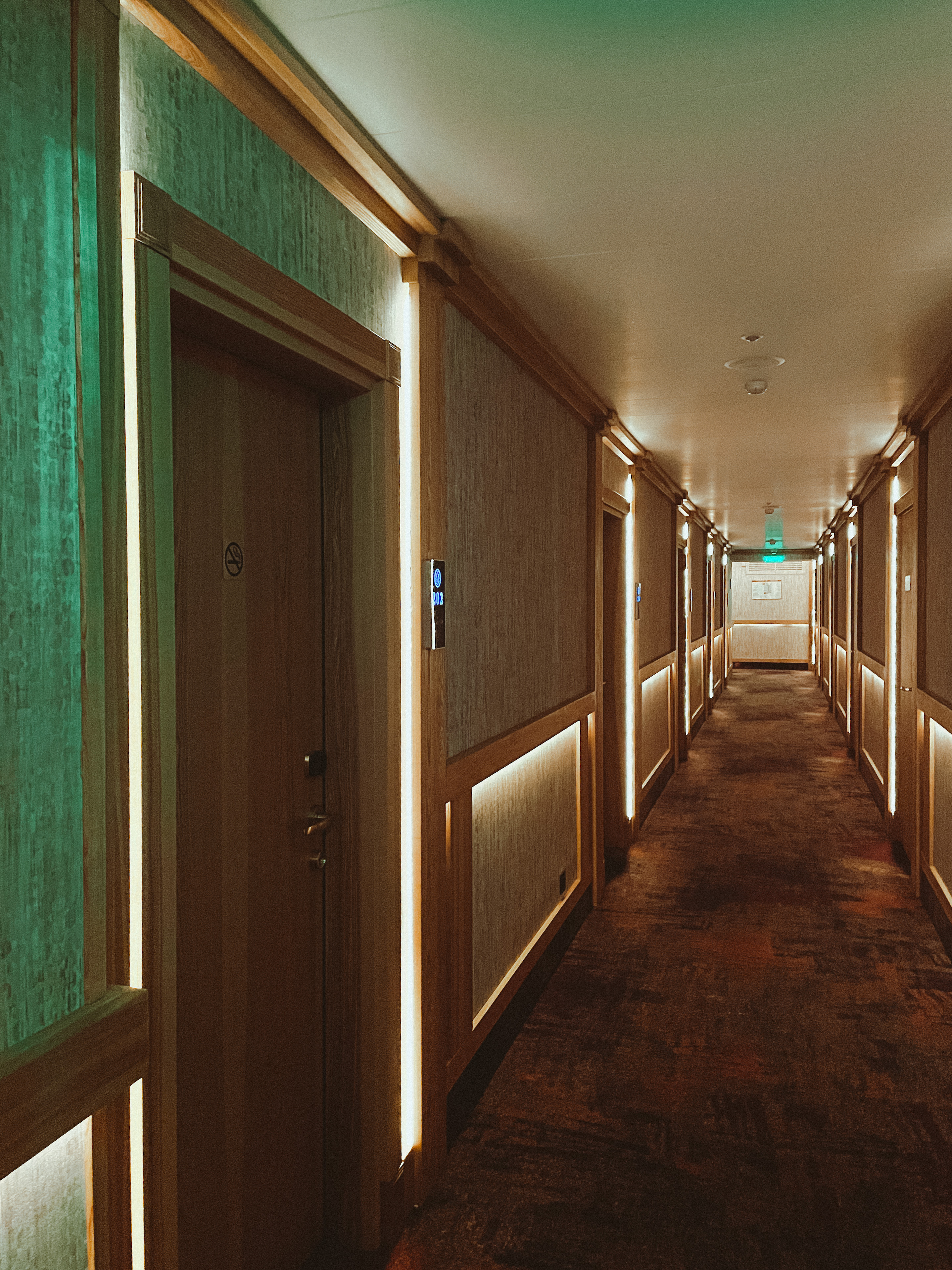 Фото Садовая-Атташе