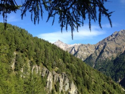 Фото Hotel Valentino