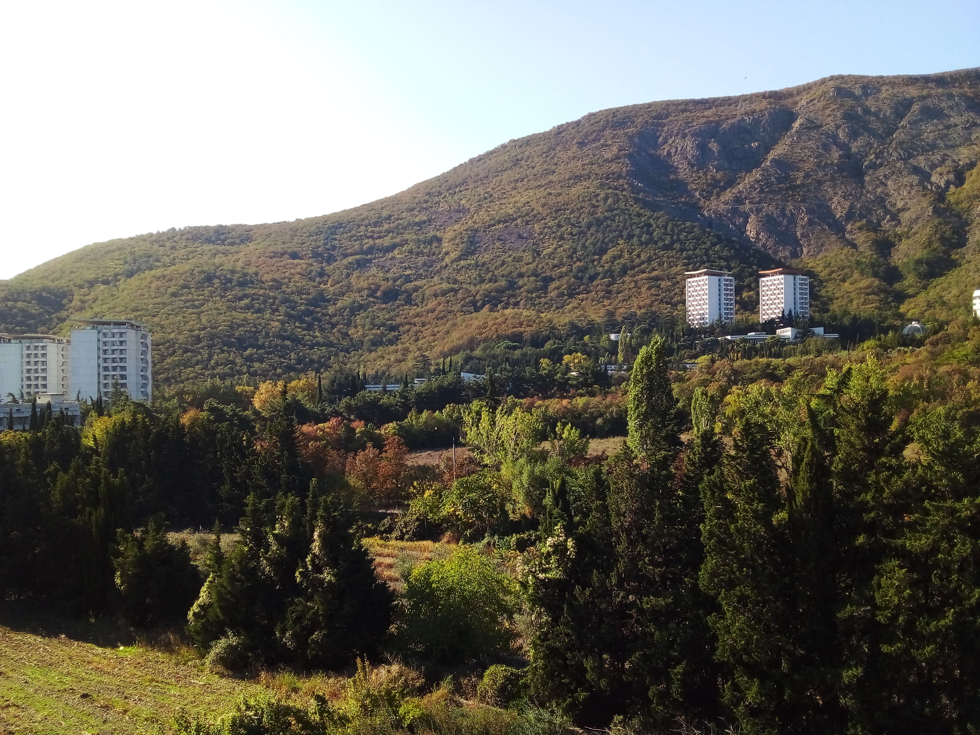 Фото Фламинго